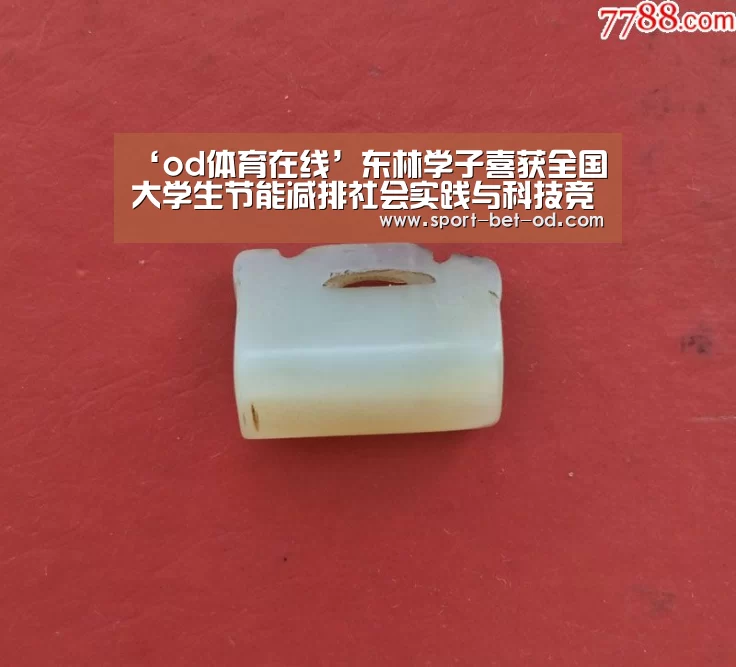 ‘od体育在线’东林学子喜获全国大学生节能减排社会实践与科技竞赛一等奖(图2) od体育在线
