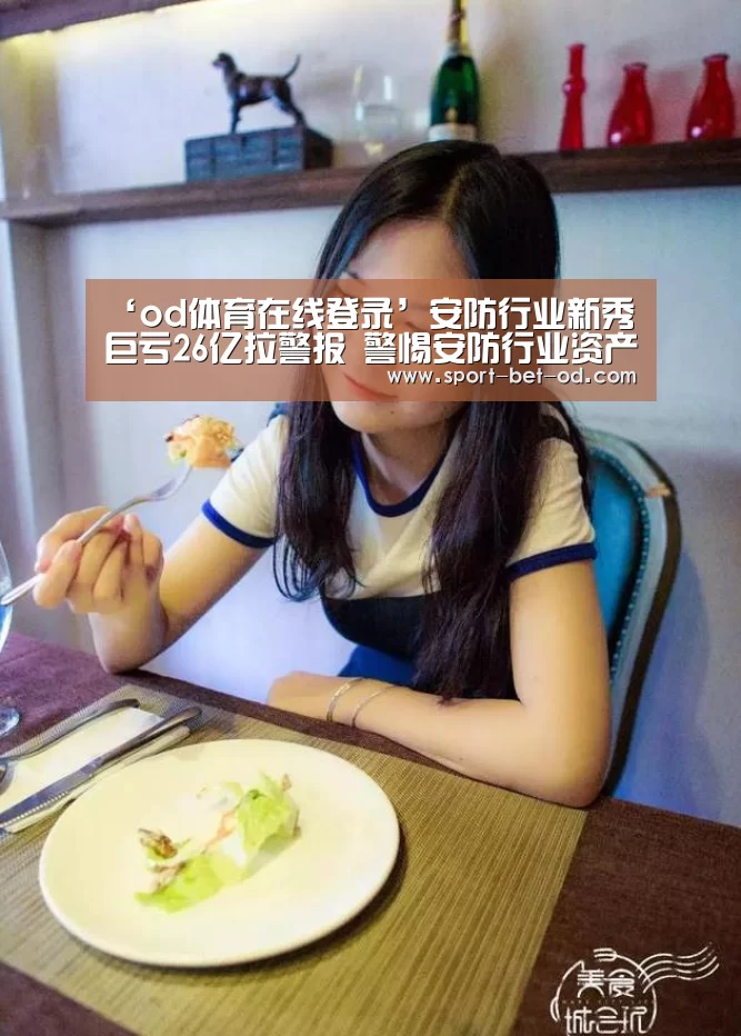 ‘od体育在线登录’安防行业新秀巨亏26亿拉警报 警惕安防行业资产大减值(图1) od体育在线登录