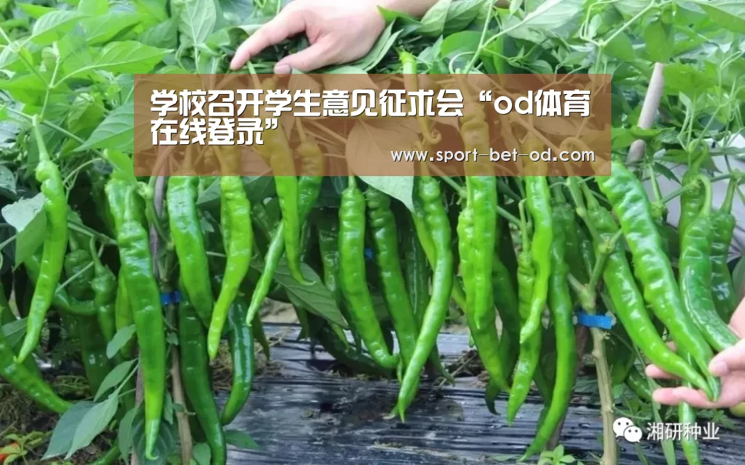 学校召开学生意见征求会“od体育在线登录”(图4) od体育在线登录