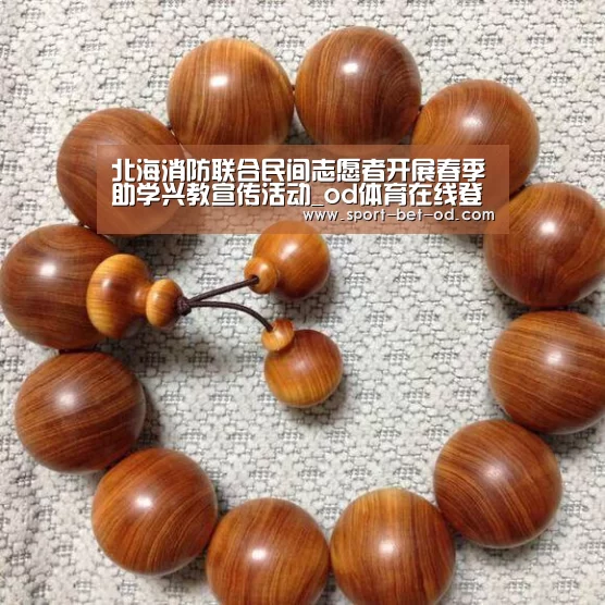 北海消防联合民间志愿者开展春季助学兴教宣传活动_od体育在线登录(图1) od体育在线