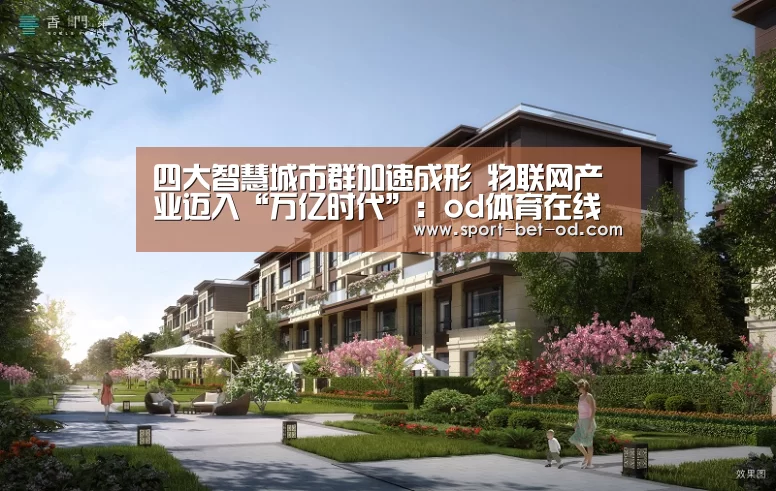 od体育在线登录