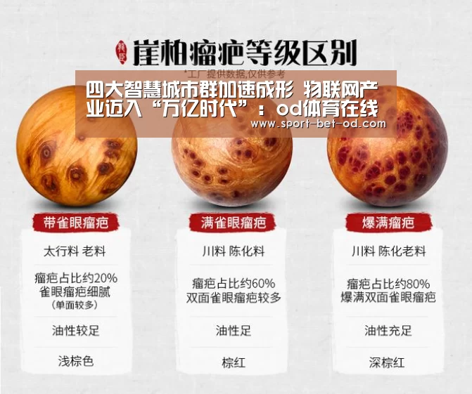 od体育在线登录
