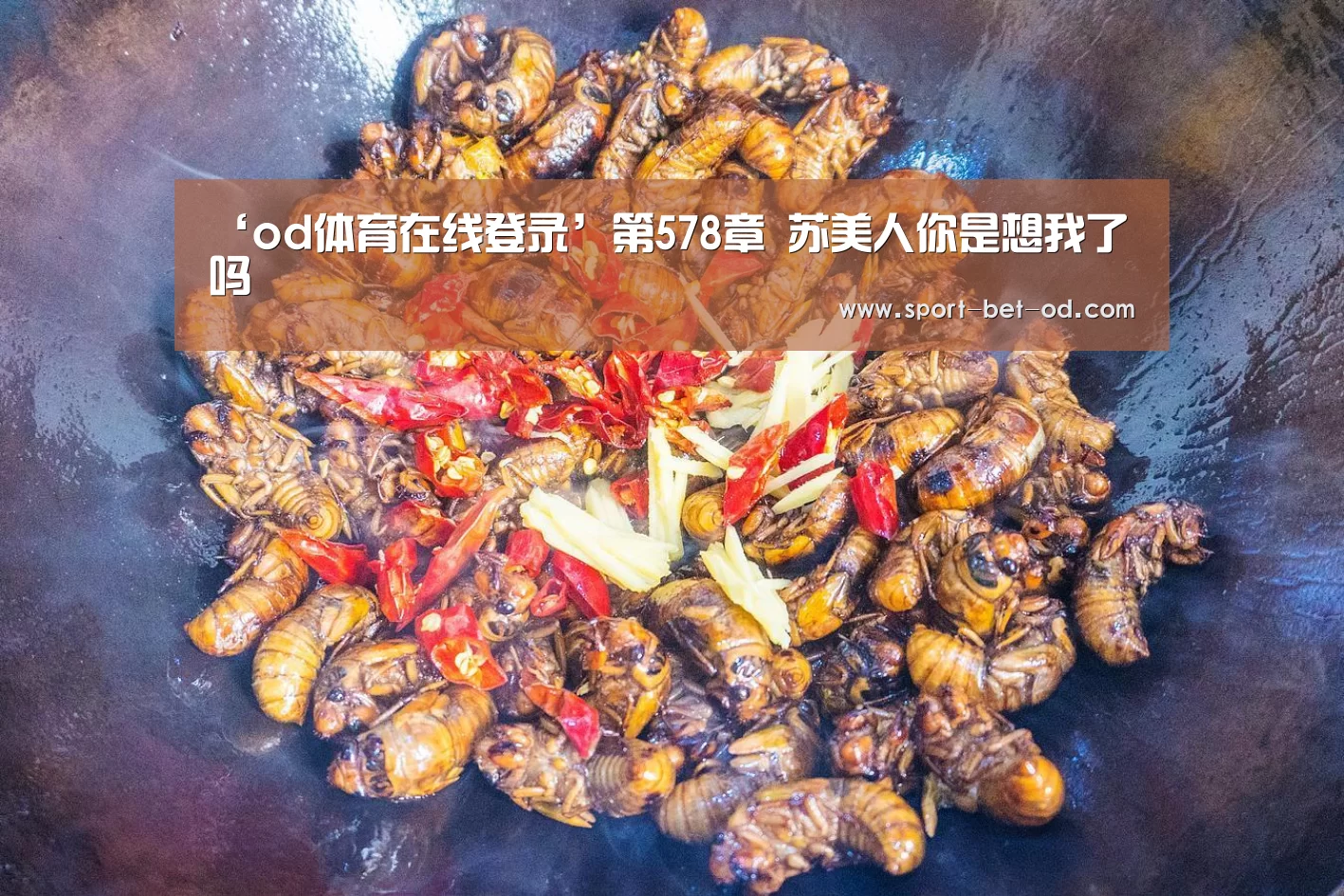 od体育在线登录